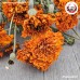 ชาดอกดาวเรือง (Marigold) ดอกดาวเรืองแห้ง ขนาด 250 กรัม ชาดอกดาวเรือง (Marigold) ดอกดาวเรืองแห้ง ขนาด 250 กรัม