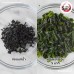 สาหร่ายวากาเมะอบแห้ง (เกรดบาง) Wakame Seaweed ขนาด 50 กรัม สาหร่ายวากาเมะอบแห้ง (เกรดบาง) Wakame Seaweed ขนาด 50 กรัม