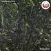 สาหร่ายวากาเมะอัดก้อน Wakame Seaweed 1 แพ็ค บรรจุ 5 ชิ้น สาหร่ายวากาเมะอัดก้อน Wakame Seaweed 1 แพ็ค บรรจุ 5 ชิ้น