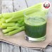 ผงสเปรย์ดรายเซเลอรี่ (Celery) ขนาด 250 กรัม ผงสเปรย์ดรายเซเลอรี่ (Celery) ขนาด 250 กรัม