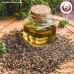 เทียนแตน (Dill Seeds) เทียนตาตั๊กแตน ขนาด 1 กิโลกรัม เทียนแตน (Dill Seeds) เทียนตาตั๊กแตน ขนาด 1 กิโลกรัม