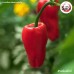 พริกปาปริก้าป่น (Paprika Powder) ขนาด 1 กิโลกรัม พริกปาปริก้าป่น (Paprika Powder) ขนาด 1 กิโลกรัม