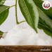 การบูร (Camphor) ขนาด 1 กิโลกรัม การบูร (Camphor) ขนาด 1 กิโลกรัม