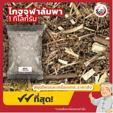 แชเฮา (โกฐจุฬาลัมพาจีน) 青蒿 ขนาด 1 กิโลกรัม แชเฮา (โกฐจุฬาลัมพาจีน) 青蒿 ขนาด 1 กิโลกรัม