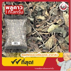 พลูคาว ผักคาว (Plu Kaow) ขนาด 1 กิโลกรัม