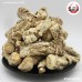 กุยเท้า ลูก เบอร์ 60 (ตังกุยเท้า) 当归头 ขนาด 1 กิโลกรัม กุยเท้า ลูก เบอร์ 60 (ตังกุยเท้า) 当归头 ขนาด 1 กิโลกรัม