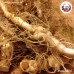 เง็กเต็ก แบบผง (Yu Zhu) 玉竹 ขนาด 1 กิโลกรัม เง็กเต็ก แบบผง (Yu Zhu) 玉竹 ขนาด 1 กิโลกรัม