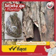 โต่วต๋ง ฉุ่ย (Du Zhong) 杜仲 ขนาด 1 กิโลกรัม โต่วต๋ง ฉุ่ย (Du Zhong) 杜仲 ขนาด 1 กิโลกรัม