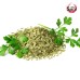 พาร์สลีย์ (Parsley) ขนาด 1 กิโลกรัม พาร์สลีย์ (Parsley) ขนาด 1 กิโลกรัม
