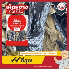 เห็ดหูช้าง เบอร์ 0 (เห็ดหูหนูดำหลังขาว) Wood Ear Mushroom ขนาด 1 กิโลกรัม เห็ดหูช้าง เบอร์ 0 (เห็ดหูหนูดำหลังขาว) Wood Ear Mushroom ขนาด 1 กิโลกรัม