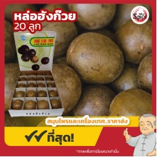 หล่อฮังก๊วย ขนาดกลาง (Monk Fruit) 羅漢果 บรรจุ 20 ลูก หล่อฮังก๊วย ขนาดกลาง (Monk Fruit) 羅漢果 บรรจุ 20 ลูก