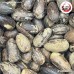 ลูกจันทน์เปลือกยาว (Nutmeg) ขนาด 1 กิโลกรัม ลูกจันทน์เปลือกยาว (Nutmeg) ขนาด 1 กิโลกรัม