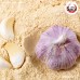 กระเทียมผง เบอร์ 2A (Garlic Powder) ขนาด 1 กิโลกรัม กระเทียมผง เบอร์ 2A (Garlic Powder) ขนาด 1 กิโลกรัม