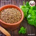 เม็ดผักชี เบอร์ 0 ง่วงจี้ (Coriander Seed) ขนาด 1 กิโลกรัม เม็ดผักชี เบอร์ 0 ง่วงจี้ (Coriander Seed) ขนาด 1 กิโลกรัม