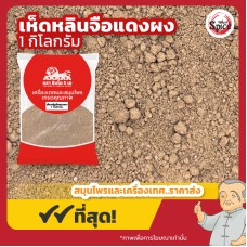 เห็ดหลินจือแดง แบบผง (Red Lingzhi Powder) ขนาด 1 กิโลกรัม เห็ดหลินจือแดง แบบผง (Red Lingzhi Powder) ขนาด 1 กิโลกรัม