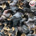 เห็ดหูช้าง เบอร์ 0 (เห็ดหูหนูดำหลังขาว) Wood Ear Mushroom ขนาด 1 กิโลกรัม เห็ดหูช้าง เบอร์ 0 (เห็ดหูหนูดำหลังขาว) Wood Ear Mushroom ขนาด 1 กิโลกรัม